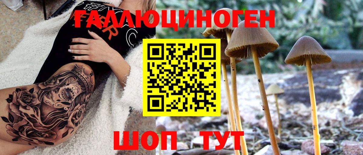 Галлюциногенные грибы GOLDEN TEACHER Алатырь