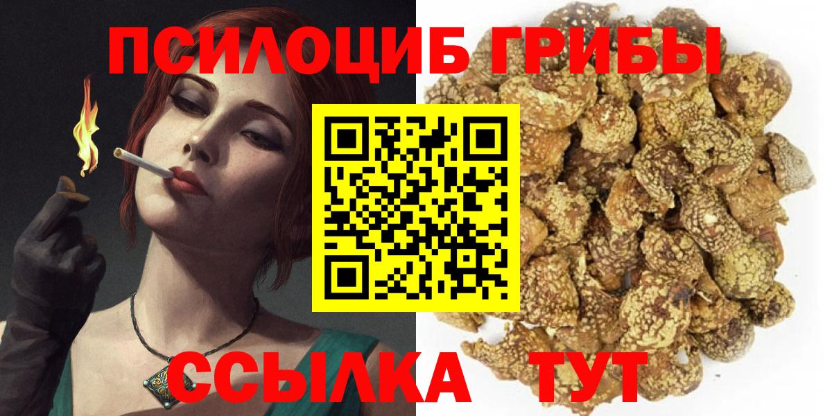 Галлюциногенные грибы MAGIC MUSHROOMS  Вход с VPN  Алатырь 
